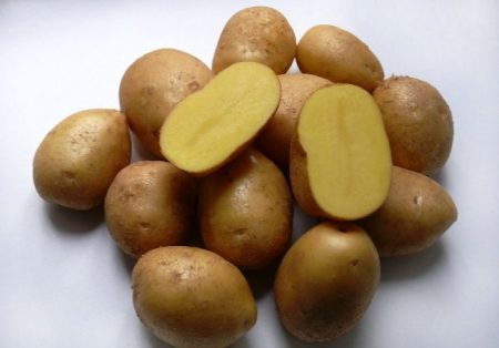 البطاطا إمبالا: وصف وخصائص متنوعة ، صور ، استعراض