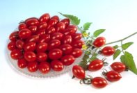 תמנון עגבניות: מאפיינים ותיאור המגוון, ביקורות, תמונות, מי שתל