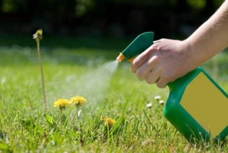 ošetření herbicidem