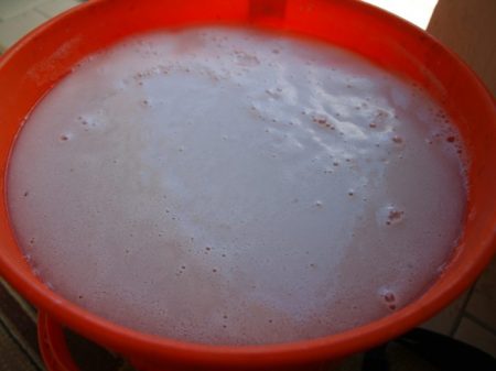 Ready-made yeast in a plate