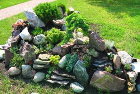 jardín de rocas