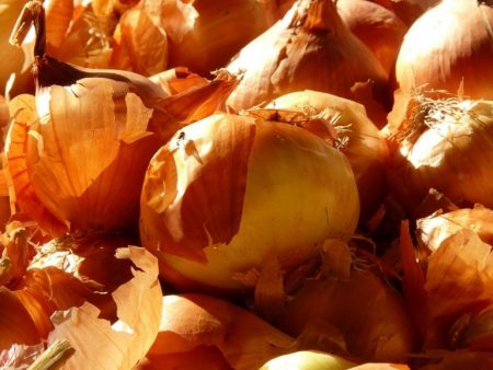 Onion husk from pests