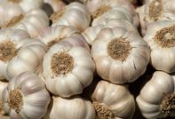 How to store garlic