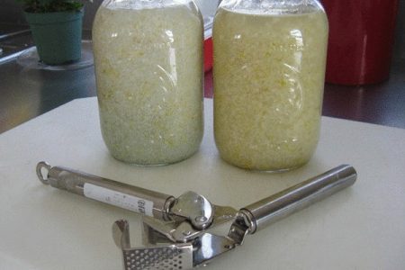 infusi bawang putih