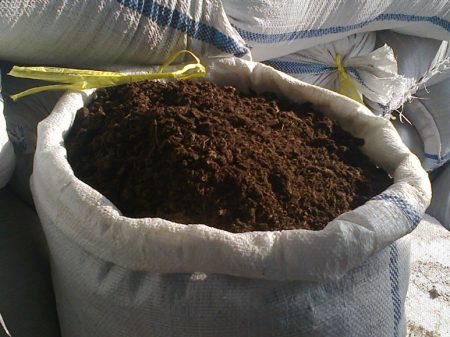Engrais organiques pour concombres