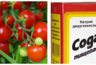 Bicarbonato de sodio para tomates