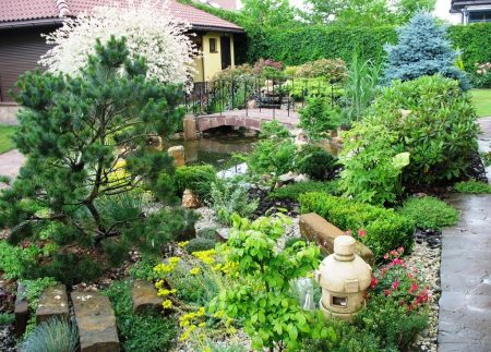 grădină japoneză