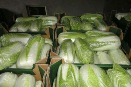 Cabbage storage