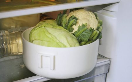 cabbage in the refrigerator