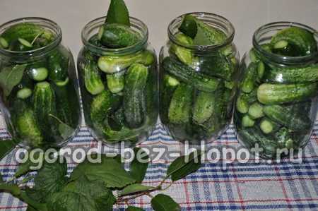 Jars of Cucumbers