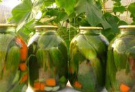 uhorky v pohári, jednoduché recepty