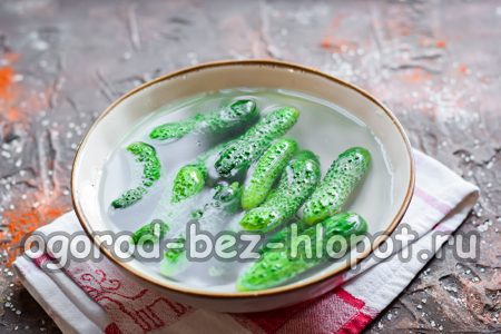 Doorweekte Komkommers