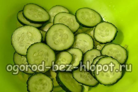 Komkommers in cirkels
