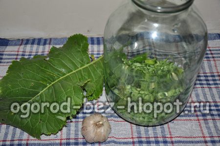 подреждане в буркан хрян и слой краставици