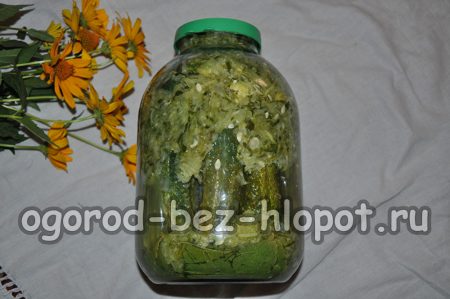 fermentované uhorky v uhorkách