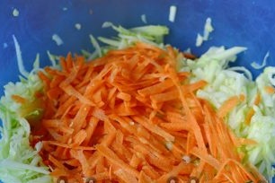 morcovii cu gratar