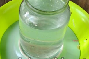 cover tightly and place a press on top, for example, a jar of water