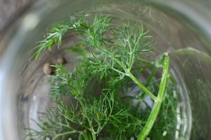 in sterile dry jars we lay dill greens and allspice