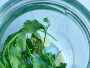 sprig of parsley