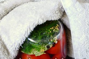 gulung tomato