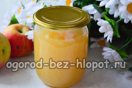 Äppeljuice för vintern hemma genom en juicer