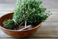 Thyme: medicinal properties and contraindications, benefits and harms, scope
