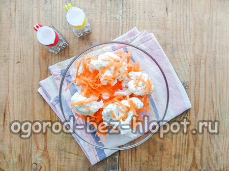 campurkan kubis, wortel, bawang putih