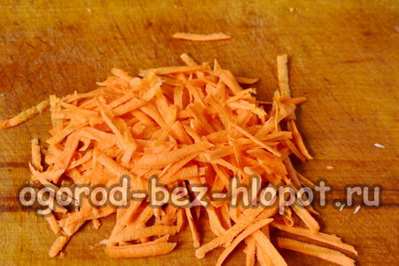 zanahoria rallada