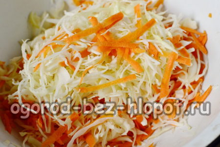 add carrots to cabbage