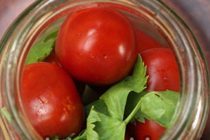 tomaten in een pot