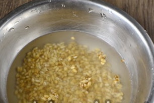 soak and boil barley