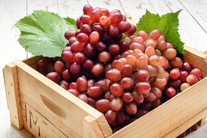 variedad de uva Sofía
