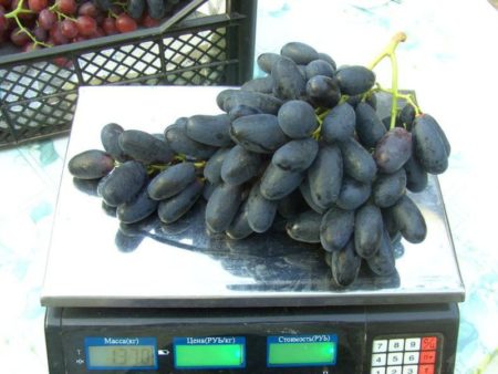 Grote druiven
