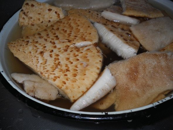 Tinder fungus cooking