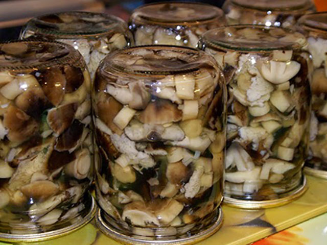 Pickled boletus without vinegar