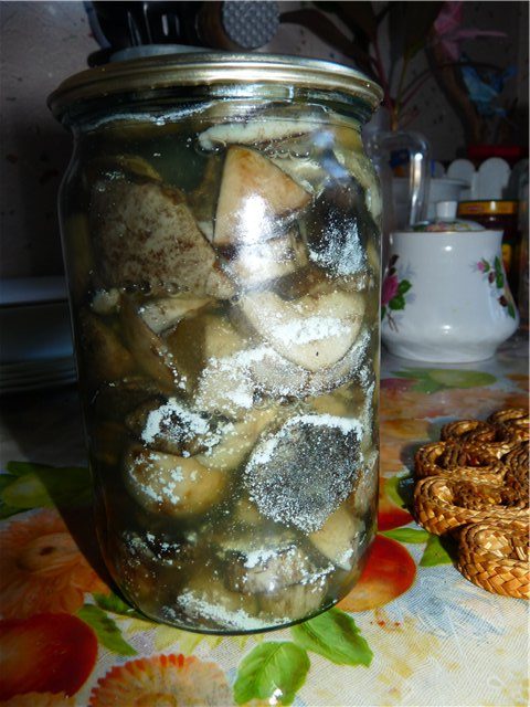 Salted Mushroom Mold