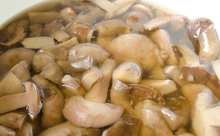 Polish mushroom processing