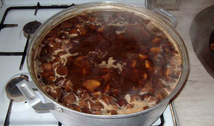 Mushroom cooking