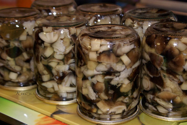 Mushrooms in jars