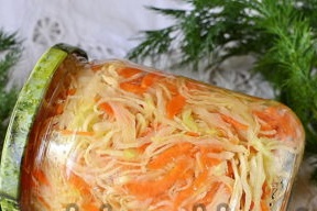 how to ferment cabbage for the winter