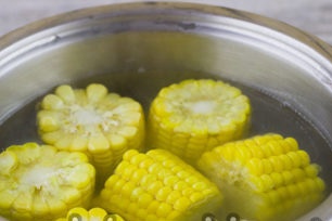 variť kukuricu