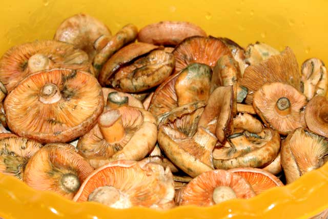 Marinated mushrooms