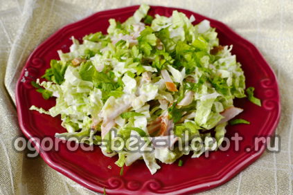 dagelijkse salade