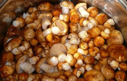 Preparing mushrooms for salting