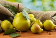 Winter pear varieties
