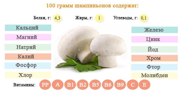 De chemische samenstelling van champignons