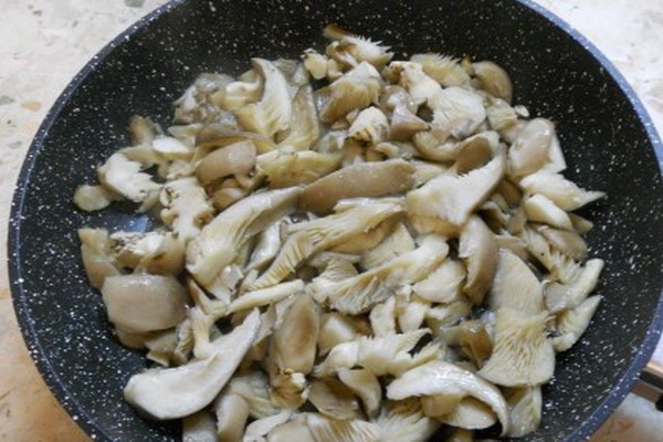 Oyster mushrooms in a pan