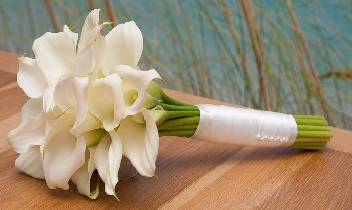 Bridal bouquet of callas