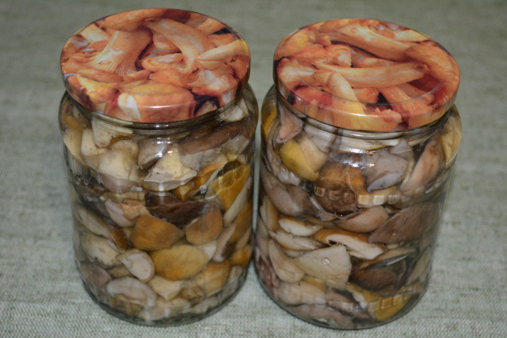 Ingemaakte eekhoorntjesbrood voor de winter in potten zonder sterilisatie