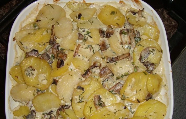 Potatoes with mushrooms in sour cream